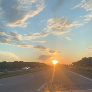 Meet your Posher, Jolie